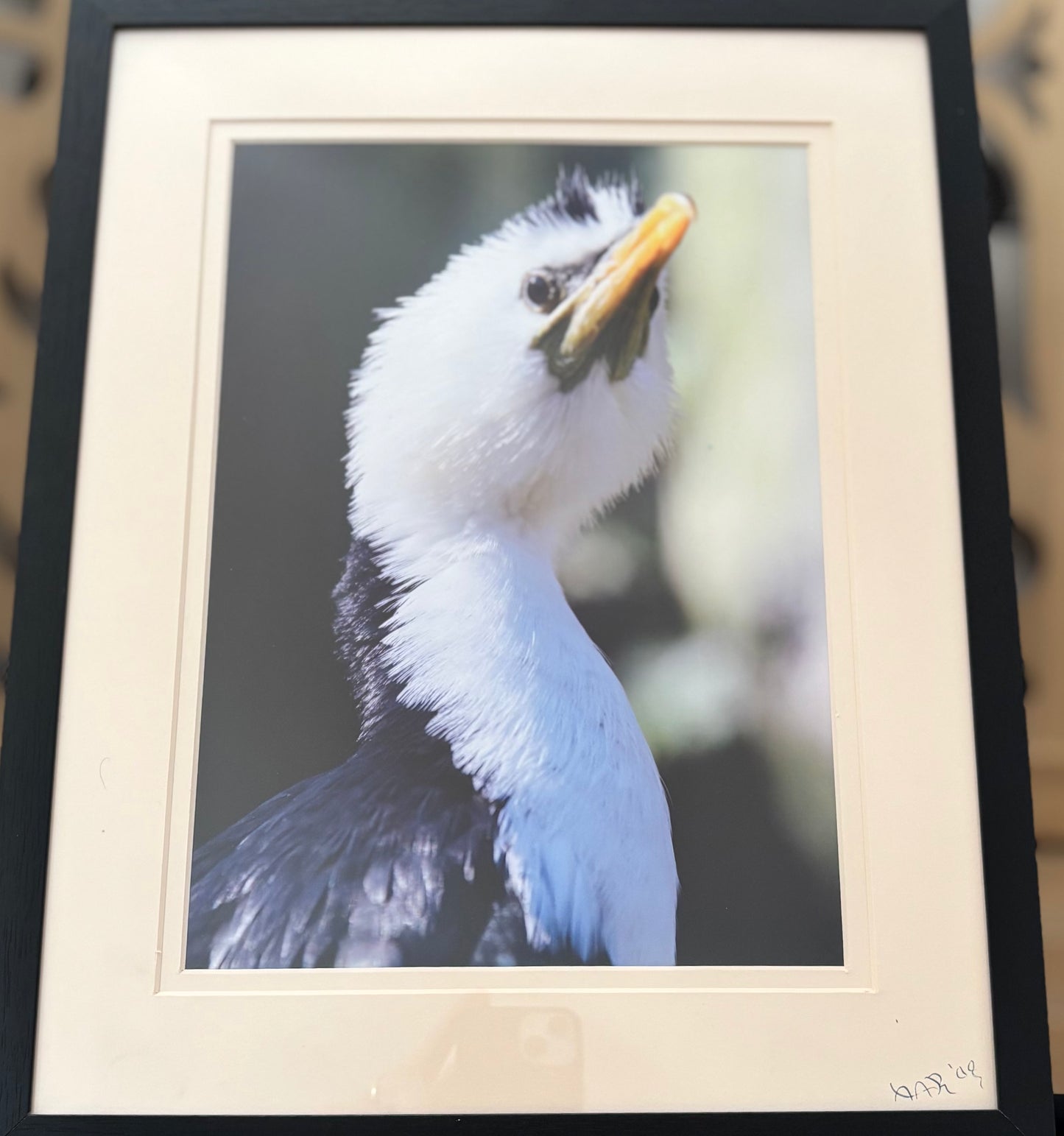 The Watcher - 2008 - 8x10 - 11x14 Matt & Frame