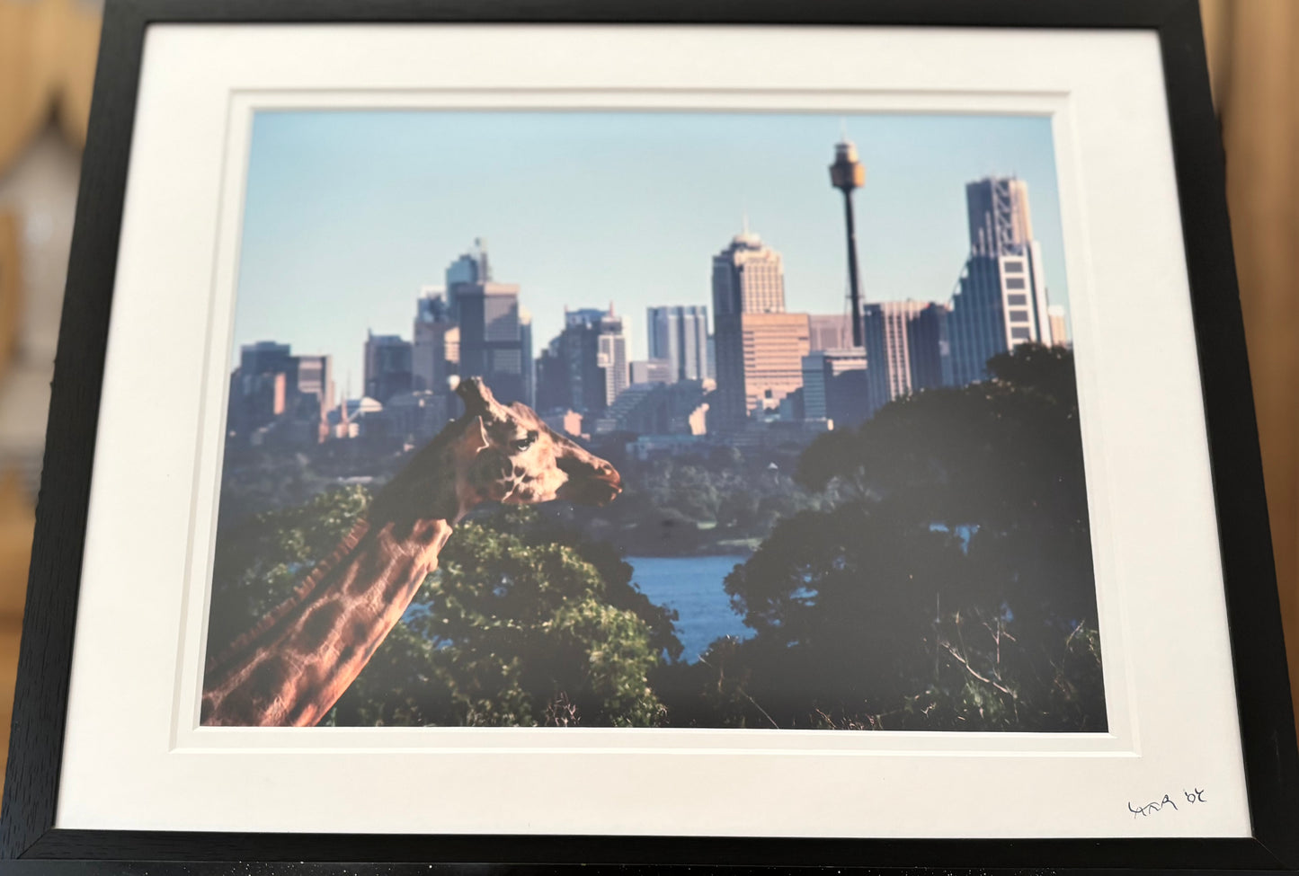 Sydney?!?!? - 2008 - 8x10 - 11x14 Matt & Frame