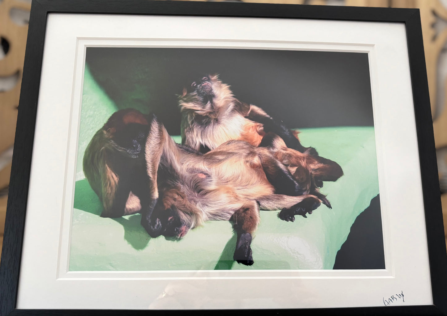 Three Amigos - 2008 - 8x10 - 11x14 Matt & Frame