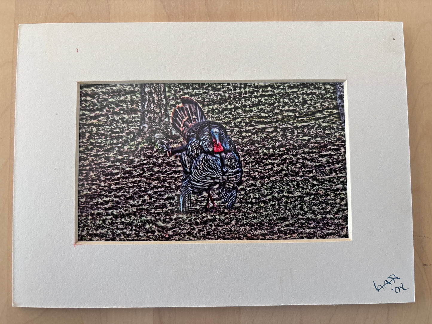 Thomas The Show Off - PhotoSketch - 5x7