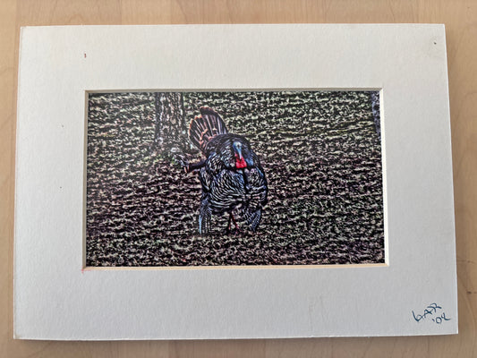 Thomas The Show Off - PhotoSketch - 5x7