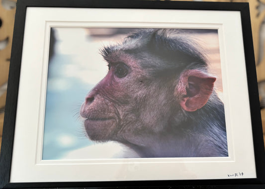 Pensive - 2008 - 8x10 - 11x14 Matt & Frame