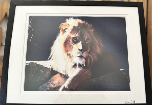 Papa - 2008 - 8x10 - 11x14 Matt & Frame