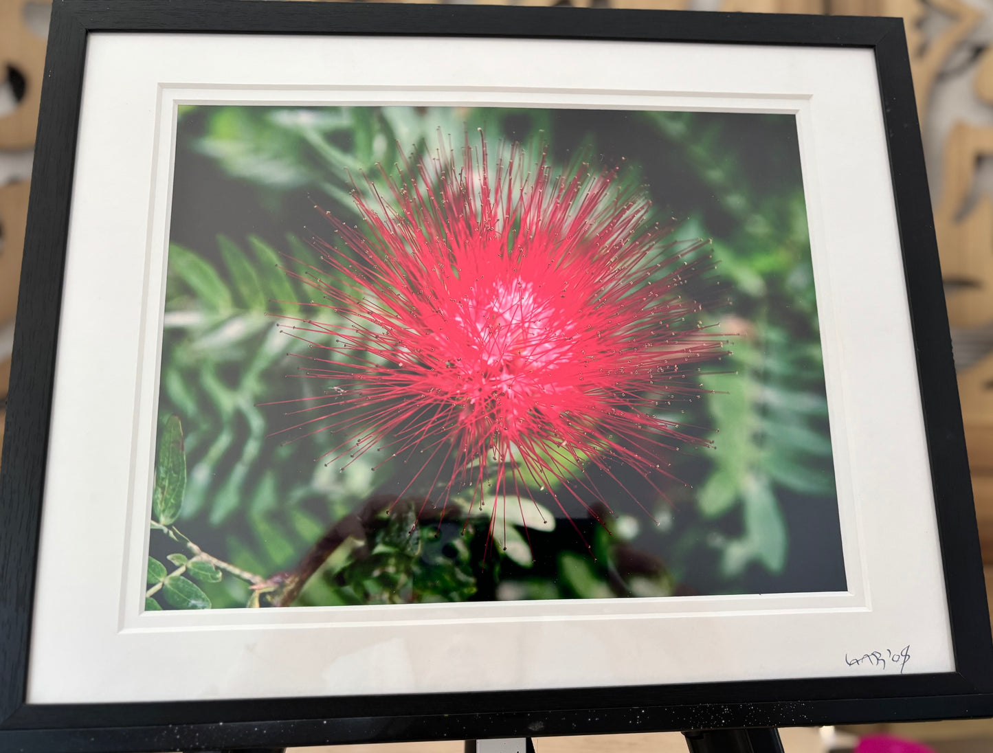 Red Flower Explosion - 2008 - 8x10 - 11x14 Matt & Frame