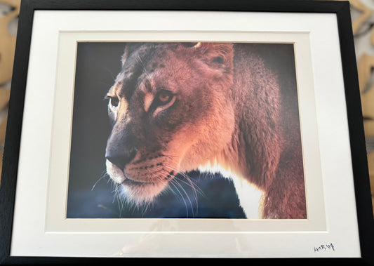 Mama - 2008 - 8x10 - 11x14 Matt & Frame