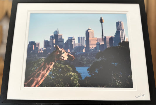 Sydney?!?!? - 2008 - 8x10 - 11x14 Matt & Frame