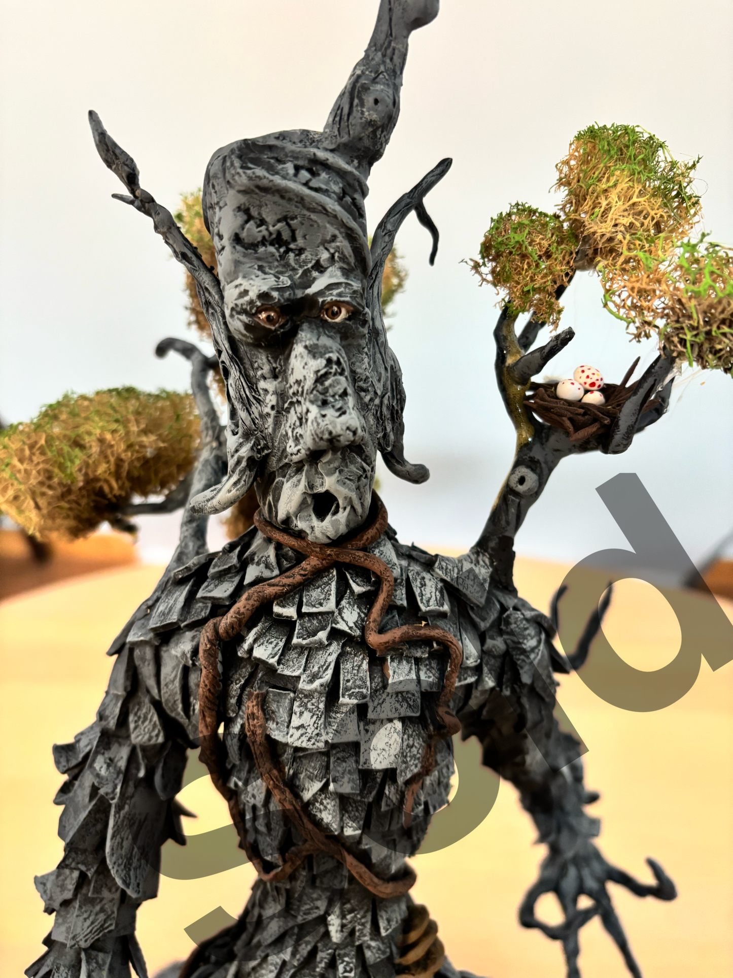 Shag bark Hickory Long Strider